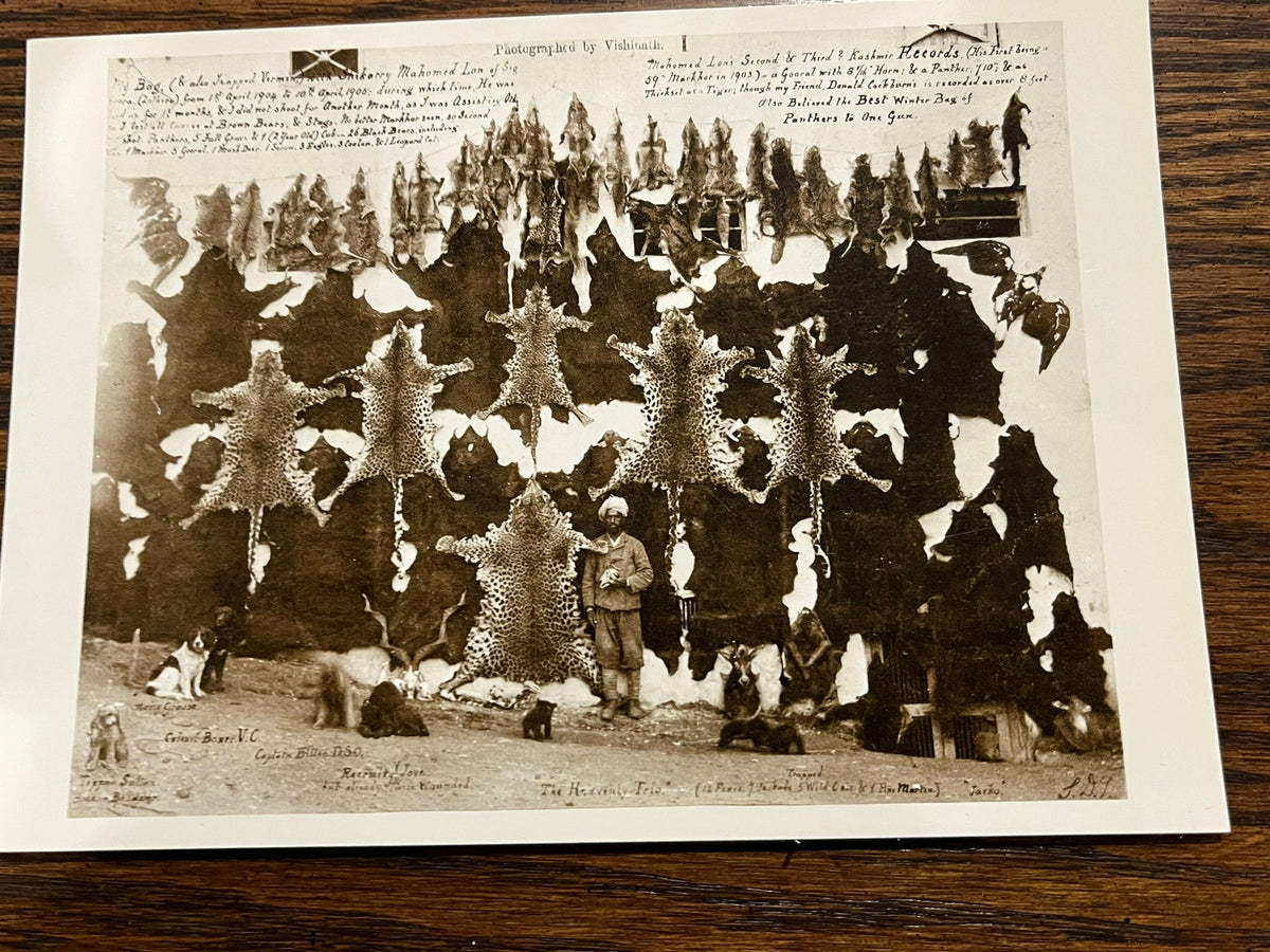 Indian Hunting Trophies 1905