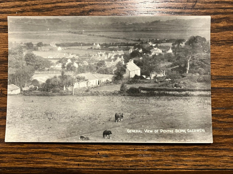 General view of Pentre Berw, Gaerwen