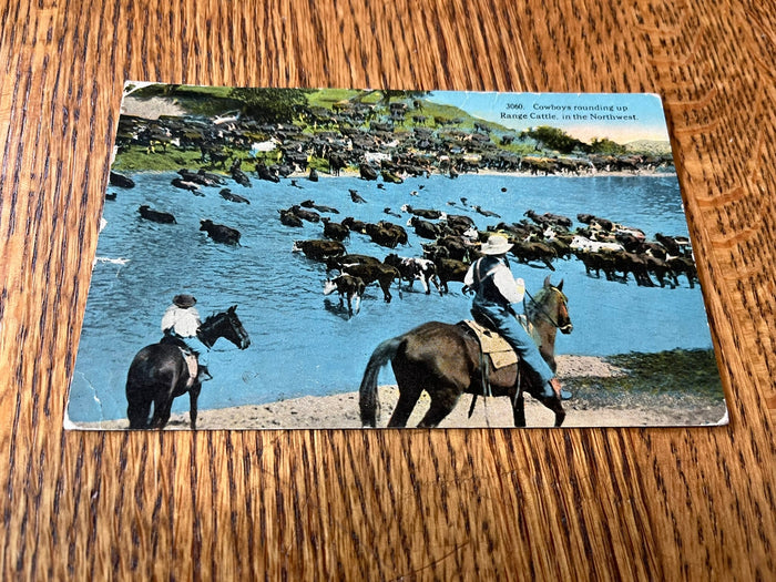 Cowboys rounding up cattle - Whitefish