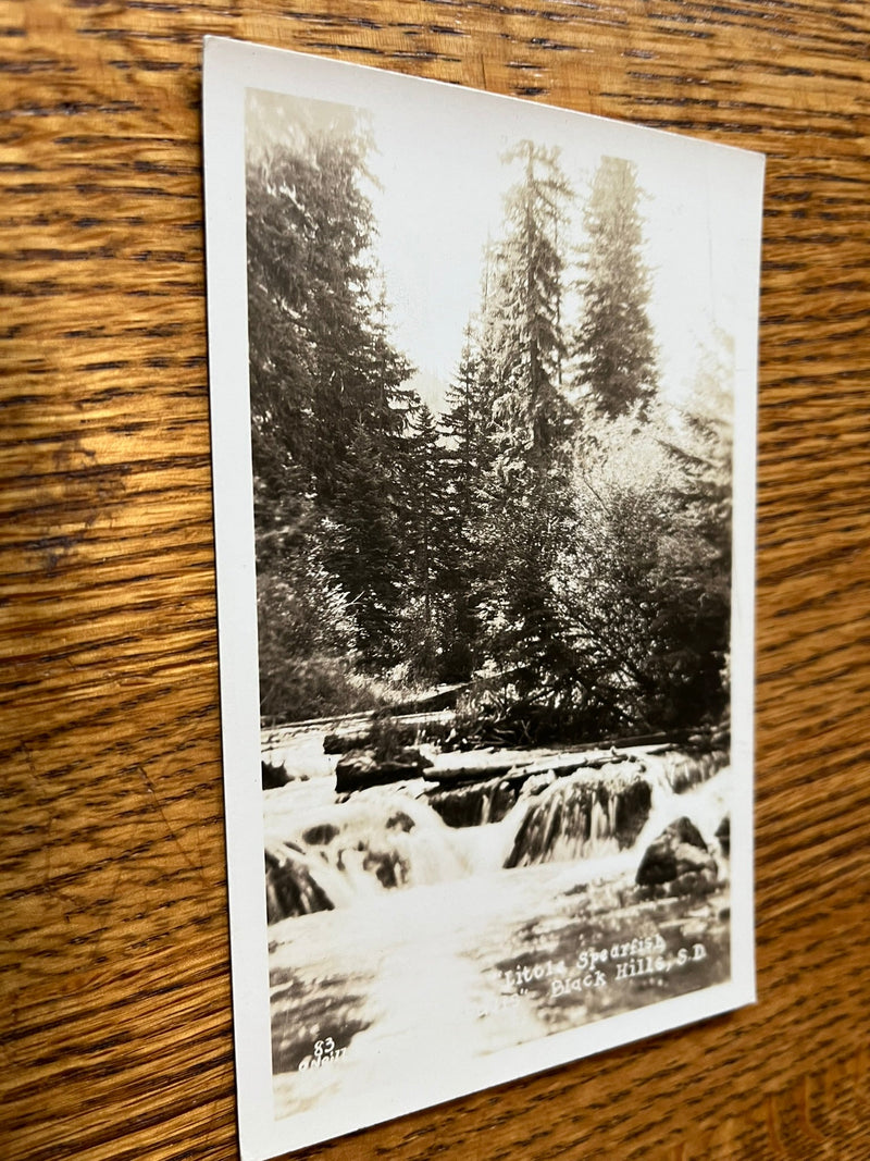 Little Spearfish. Black Hills
