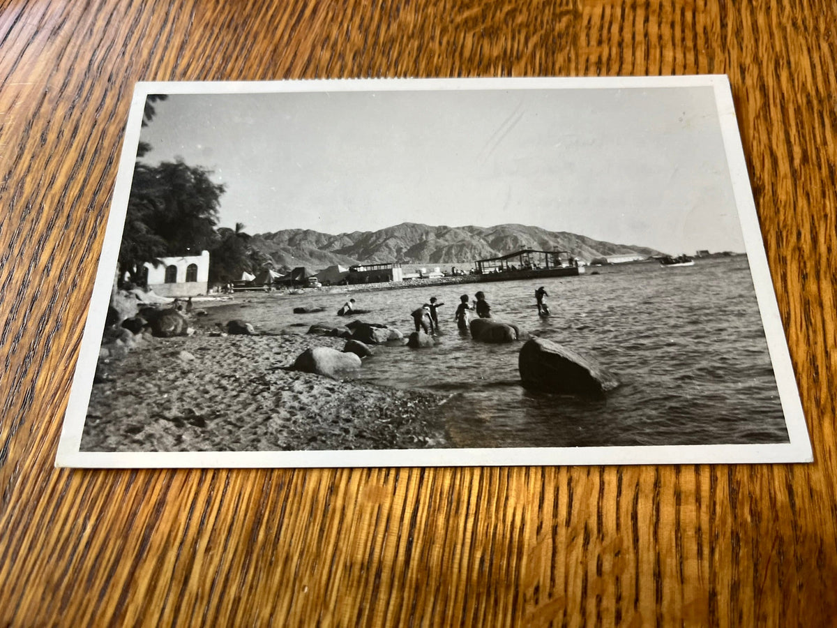 Lebanon Shore photo