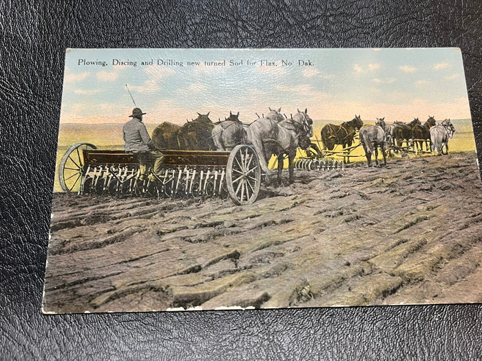Flax Farming in N. Dakota
