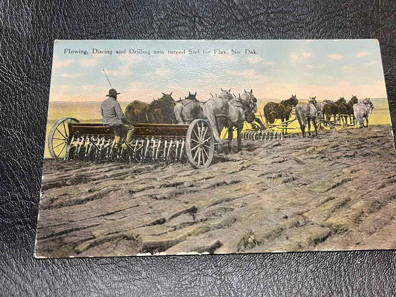 Flax Farming in N. Dakota