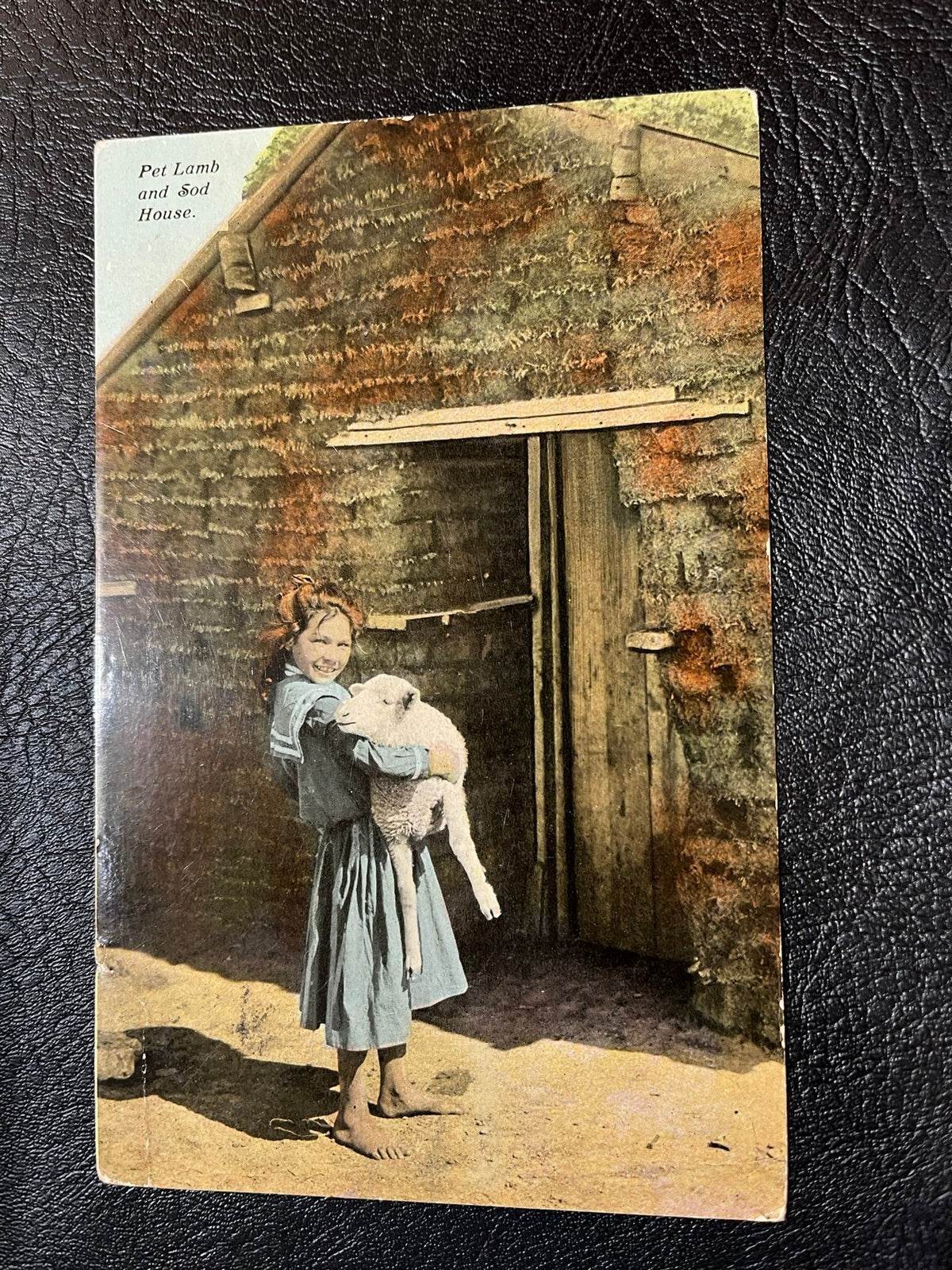 Sod House Girl with Lamb 1916