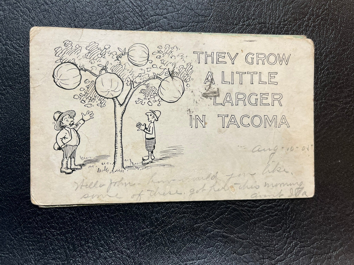They Grow Larger in Tacoma 1905
