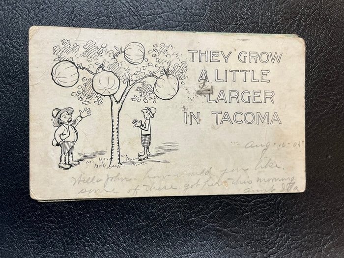 They Grow Larger in Tacoma 1905