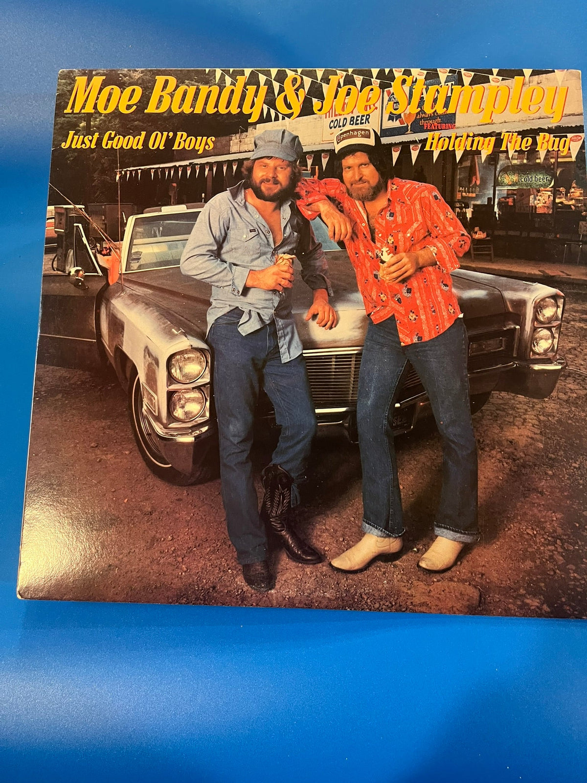Just Good Ol' Boys Holding the Bug