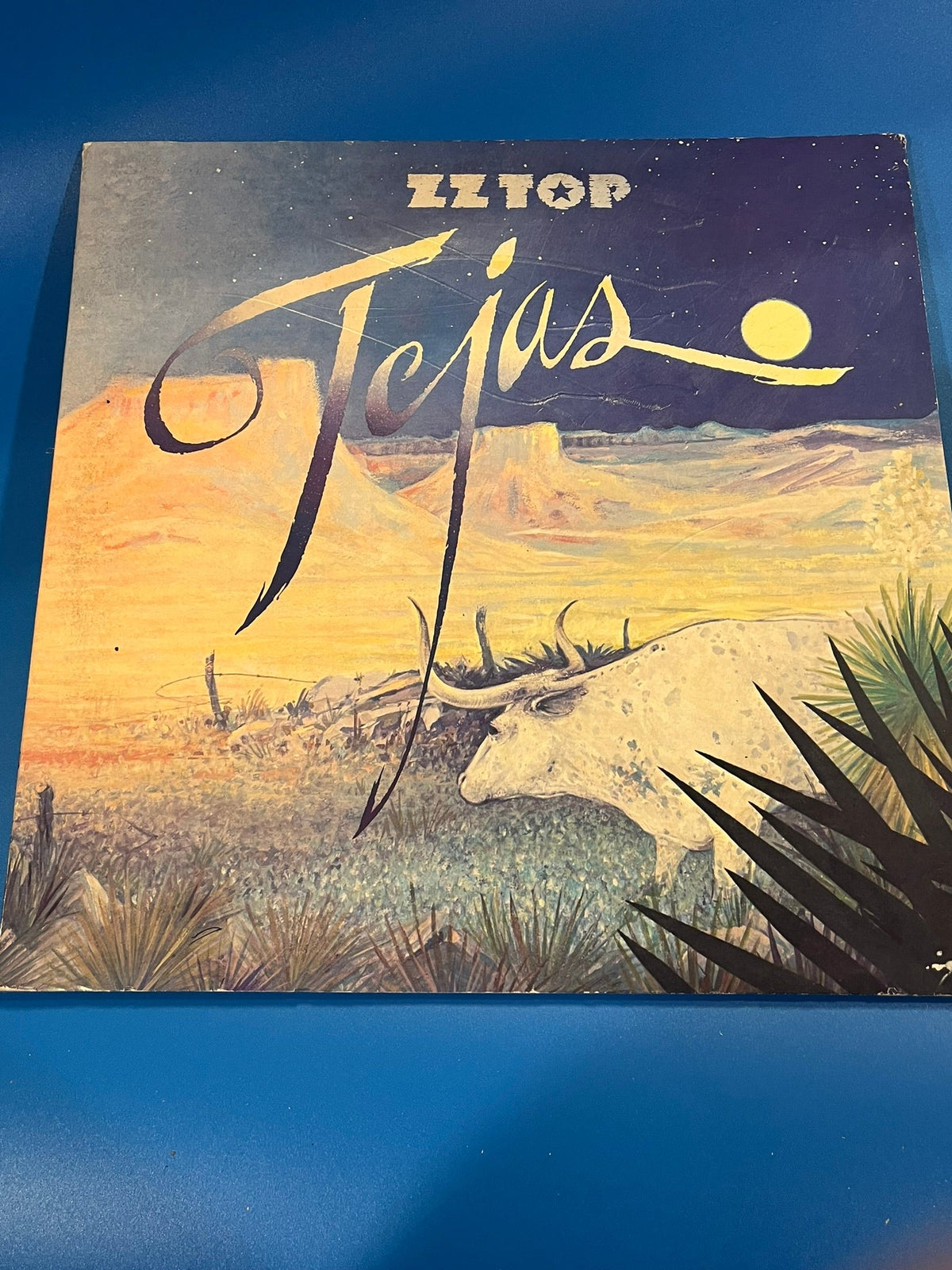 Tejas