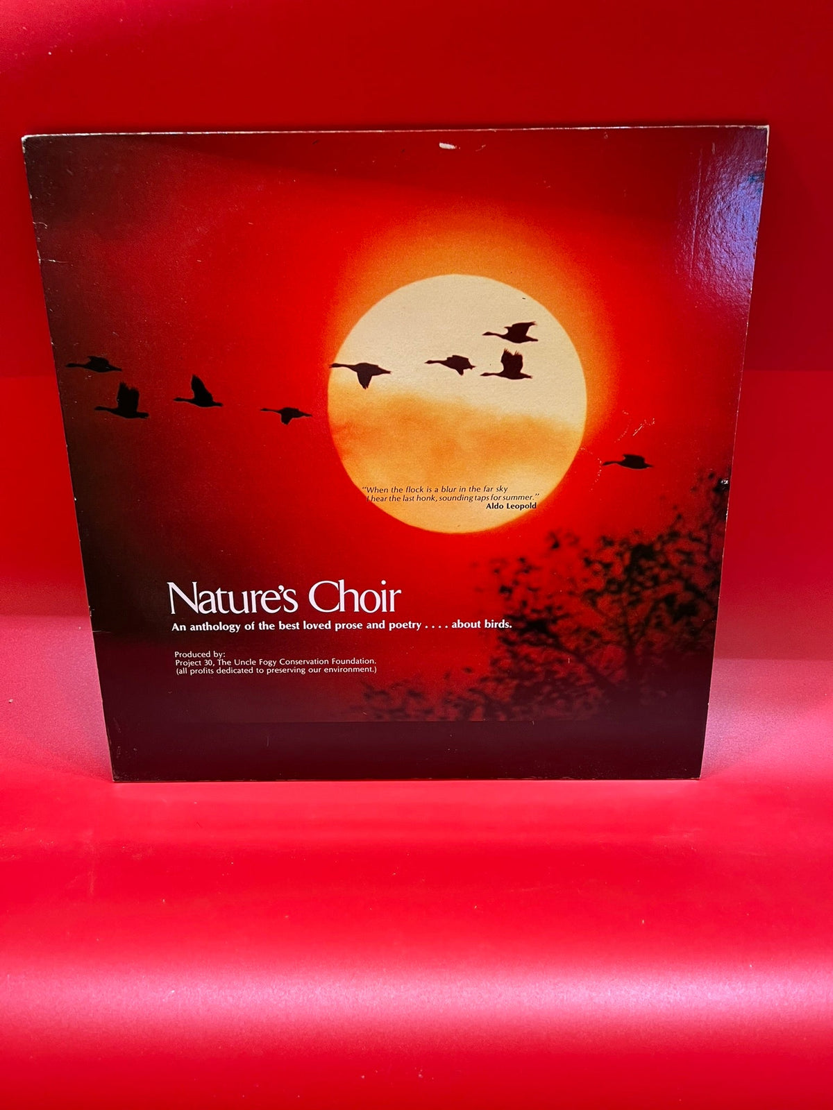 Nature's Choir : An anthology of the best loved Prose and poetry.... about birds