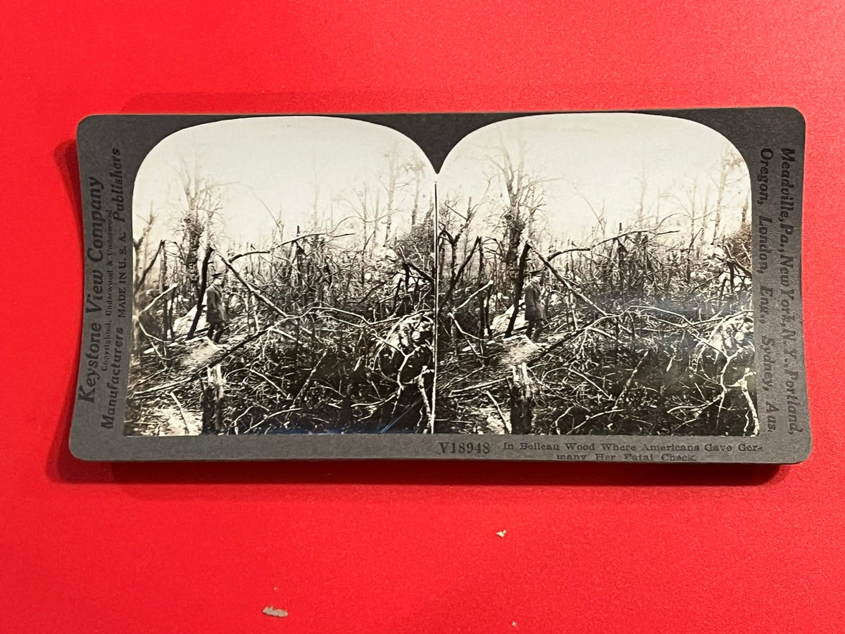 Belleau Woods - WWI