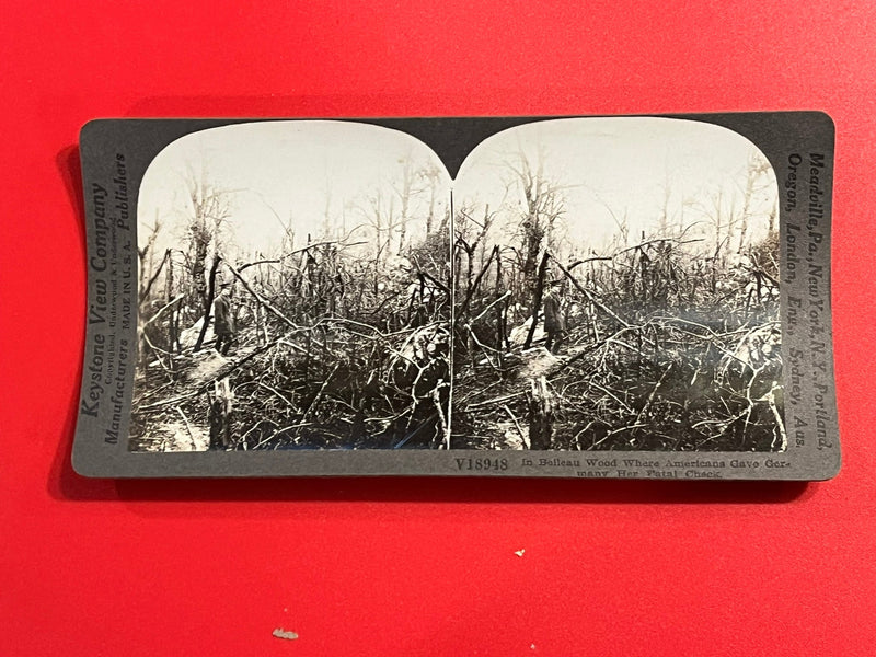 Belleau Woods - WWI