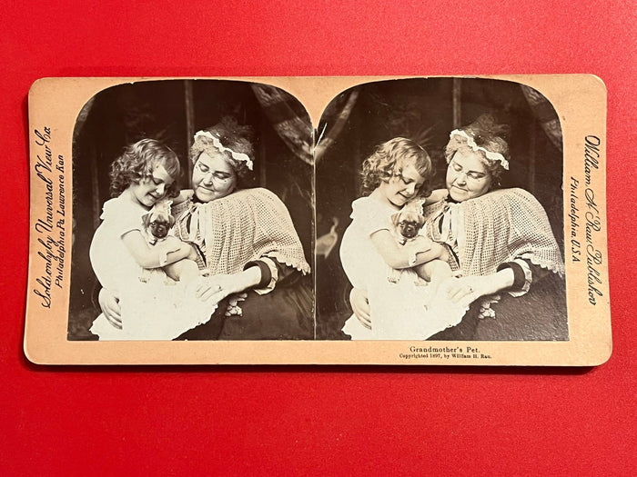 Grandmothers Pet - 1897