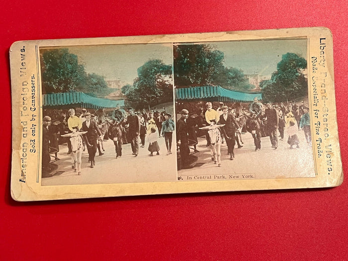 Central Park - New Yorkj 1898