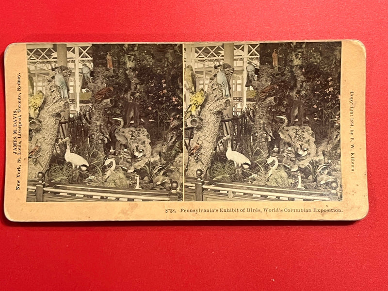 Pennsylvanian Exhibit - Columbian Exposition
