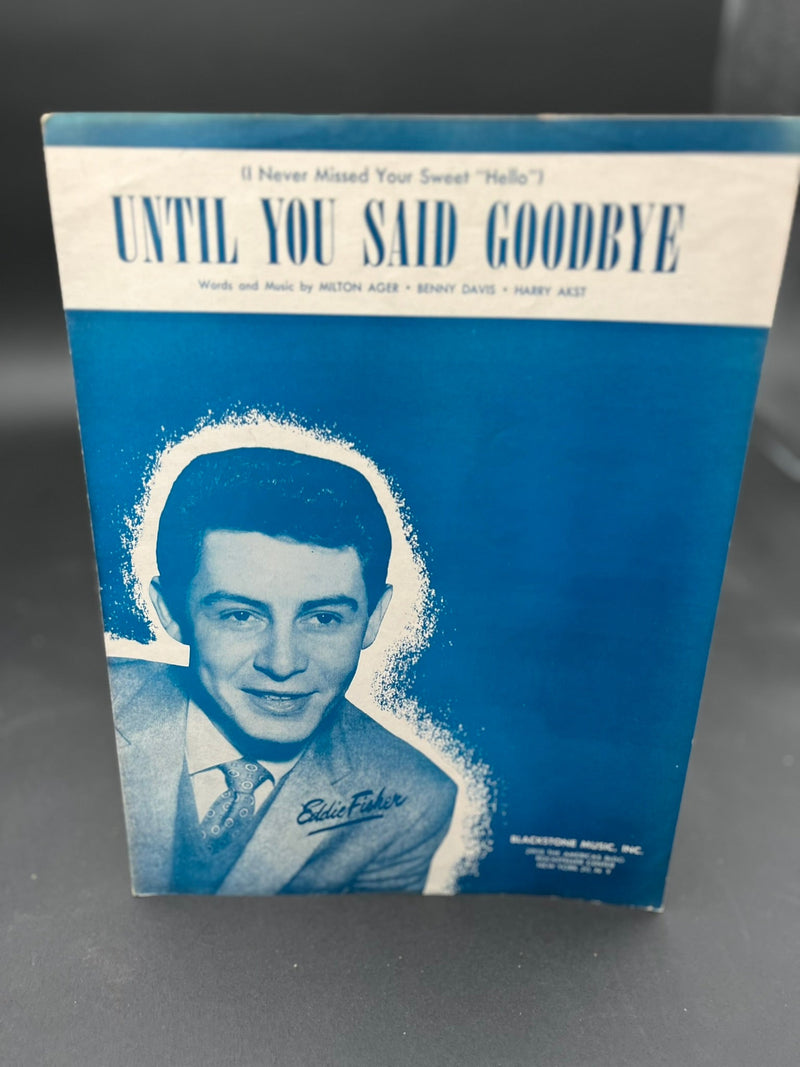 Until You Said Goodbye