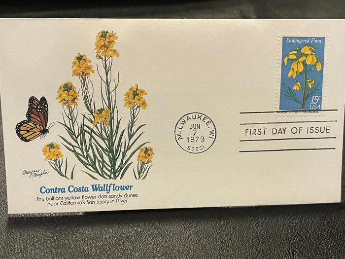 Contra Costa Wallflower