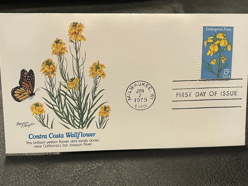 Contra Costa Wallflower