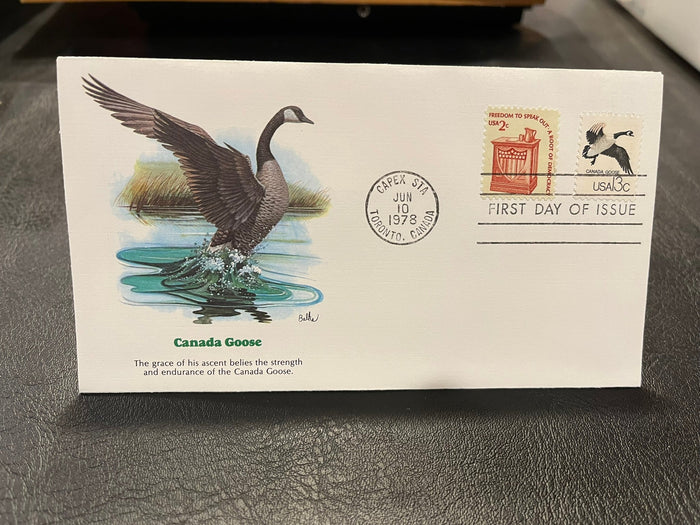 Canada Goose