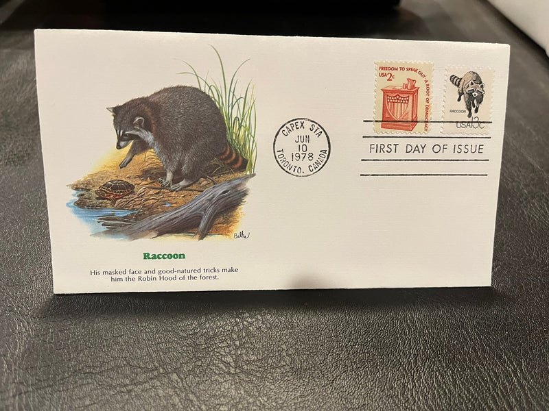 Raccoon