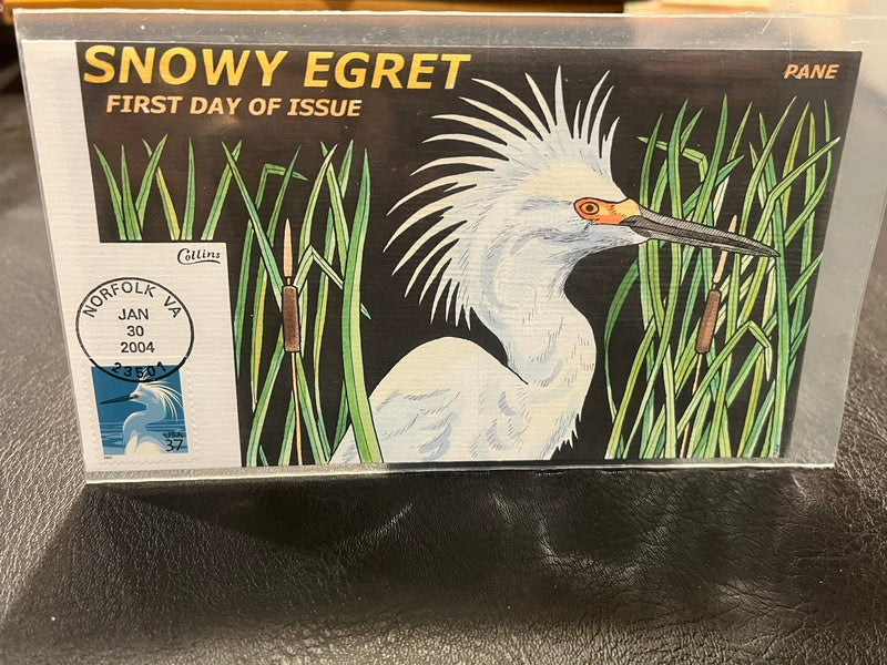 Snowy Egret in the reeds