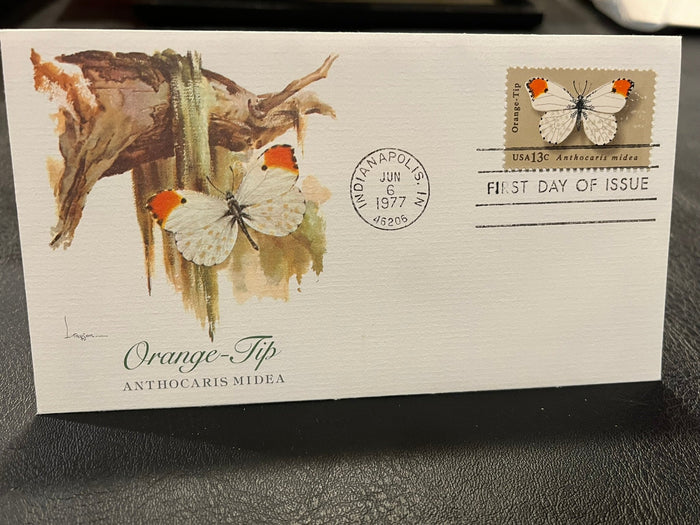 Orange Tip Butterfly