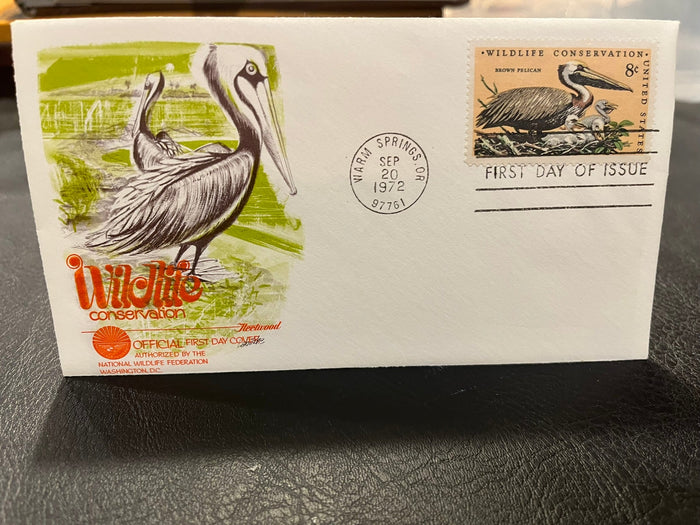 Brown Pelican - Wildlife Preservation