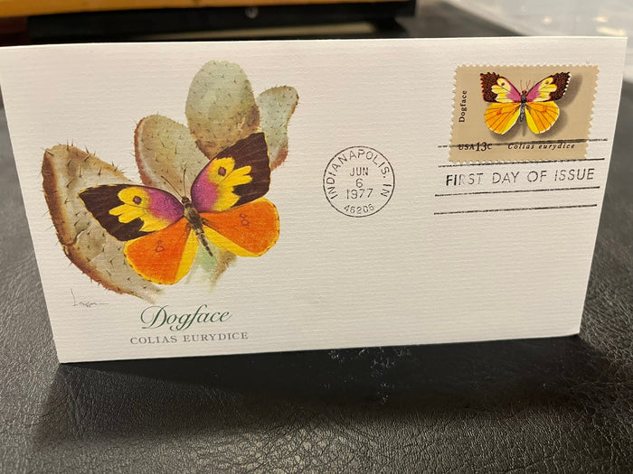 Dogface Butterfly