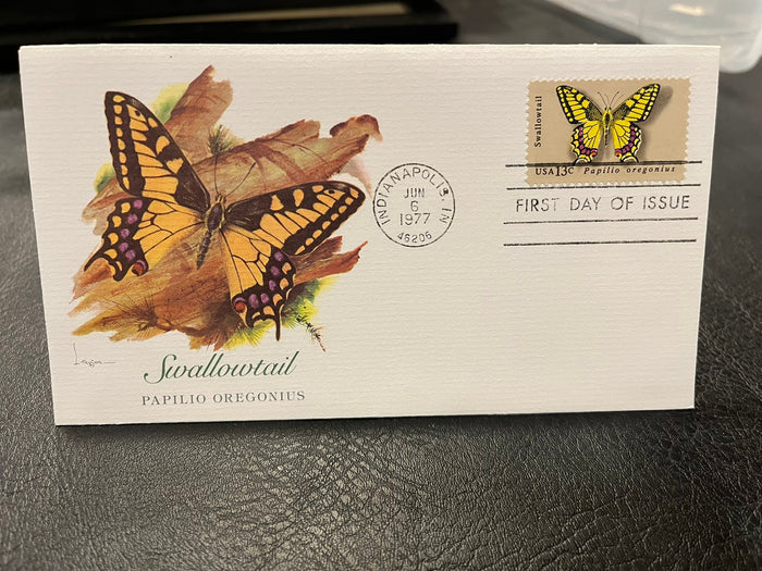 Swallowtail Butterfly
