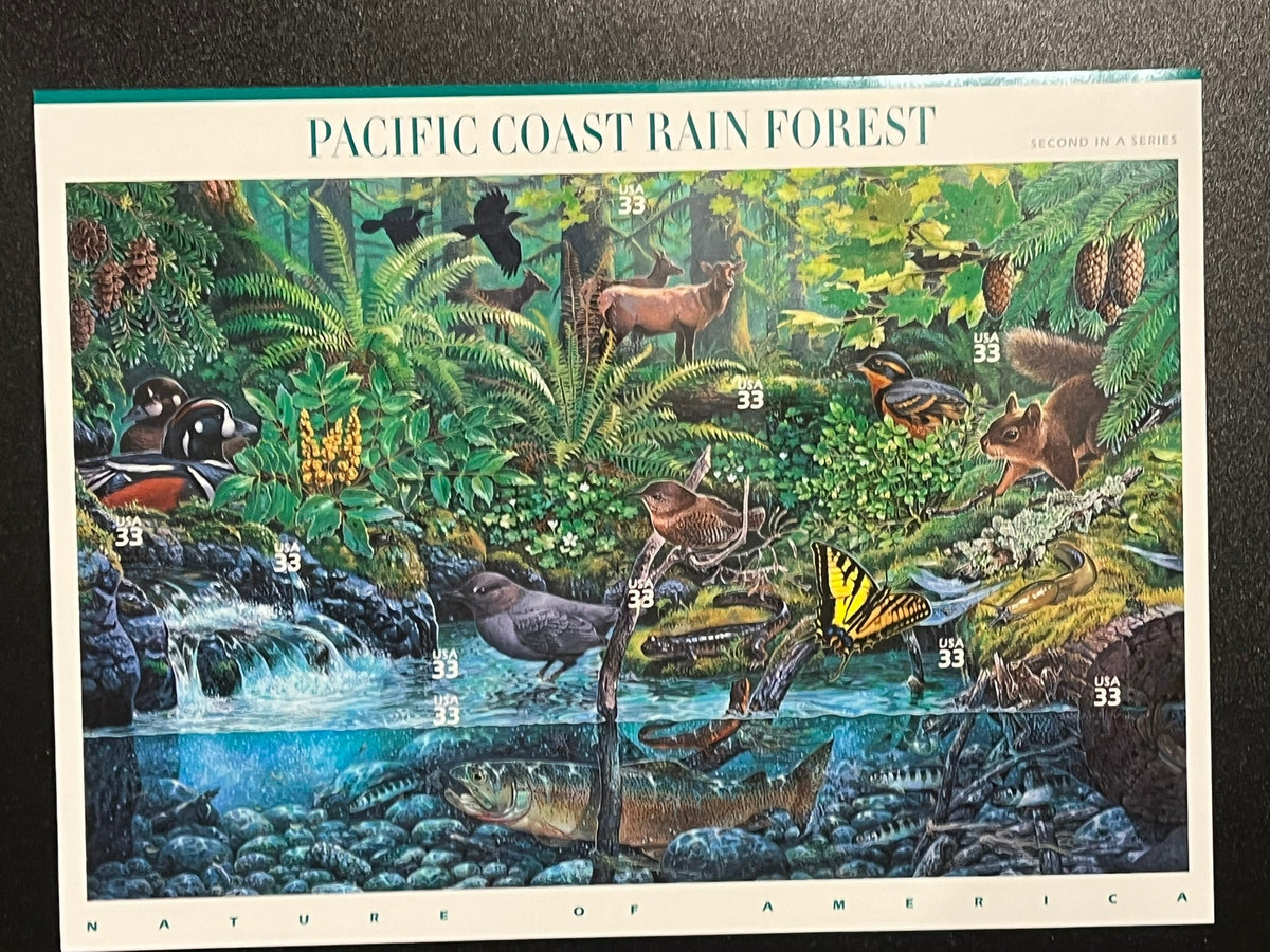 2000 33c Nature of America: Pacific Coast Rain Forest