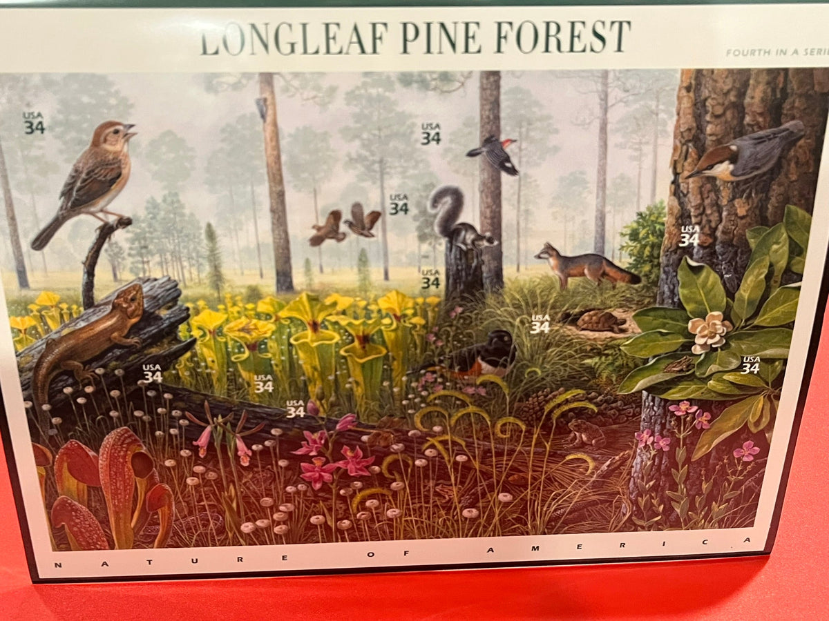 2002 34c Nature of America : Longleaf Pine Forest