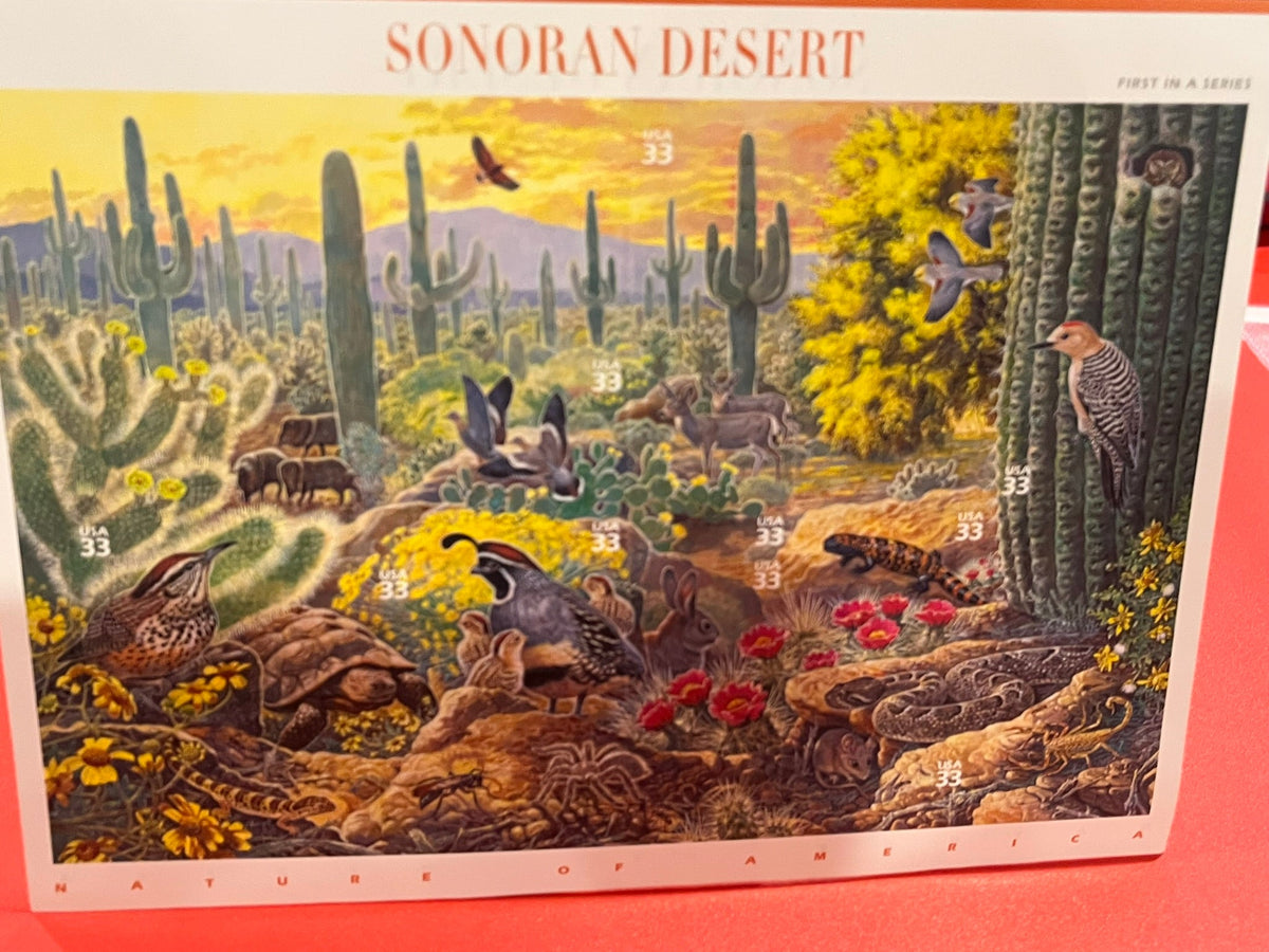 1999 33c Nature of America : Sonoran Desert