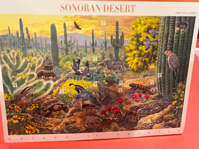 1999 33c Nature of America : Sonoran Desert