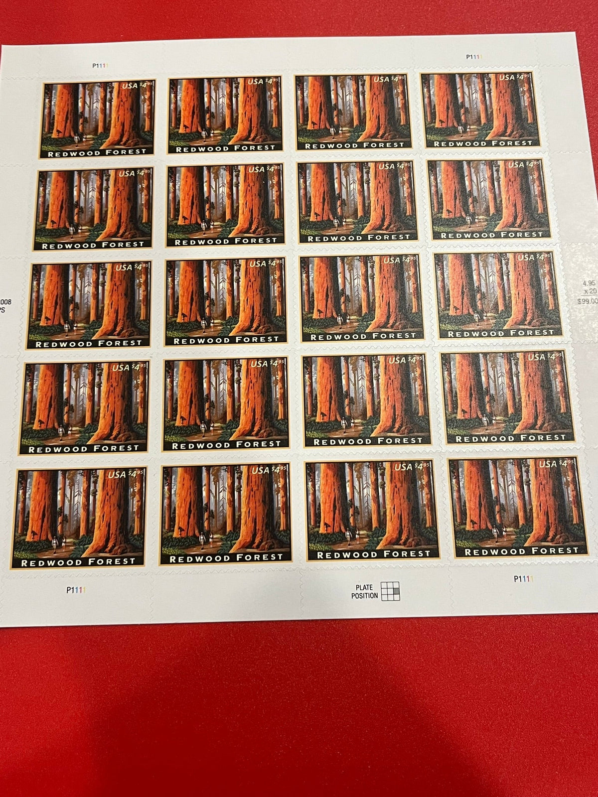 2009 $4.95 Redwood Forest